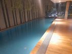 Excellent Fully Furnished Nice Apt Rent In Gulshan