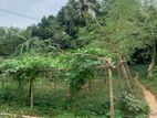Excellent Lake View 5 Katha : Sector- 18 || Purbachal