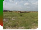 Exclusive- 3 Katha Plot At Basundhara, Block- L