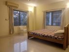 Exclusive Full Furnished Apartment Rent in Gulshan