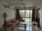 Exclusive Fully Furnish Apt Rent in Banani North