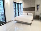 Exclusive Fully Furnished Apartment Available For Rent in Gulshan-2