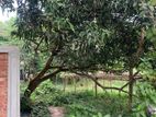 Exclusive Lake View 3 Katha : Sector- 24 || Purbachal