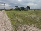 Exclusive- North Face 3 Katha Plot At Basundhara, Block- N