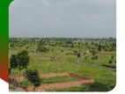 Exclusive South Facing 5 Katha Ready Land For Sale at Basundhara