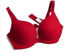 Export Quality Foam Bra, Body Fitting Stylish & Comfortable Bra