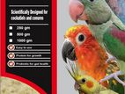 Export Quality Hand Feeding Formula For All Parrot