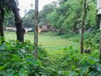 Extensive Land Sale Near Sks Inn Resort