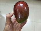 extraordinary mango