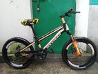 Falcon cycle 20 size