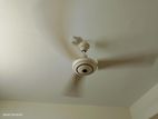 Fan 56inch 2pcs