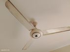 Fan 56inch