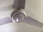 Fan for Sell