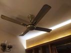 Fan for sell