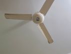 Fan For Sell