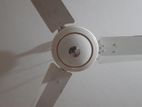 Fan for sell