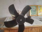 Fan 《mini》