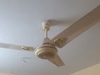FAN sale