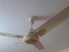 FAN sale