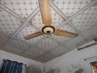 Fan for sell