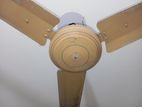 Fan Sell