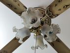 Fancy Ceiling Fan