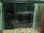 Fashion Aquarium for sale