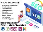 Fast, Reliable, and Professional Website Services