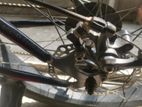 Fat bicycle