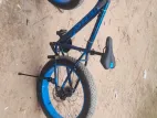 fat bike