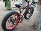 Fat Bike