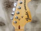 Fender Stratocaster Usa Guiter