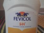 Fevicol Glue sell
