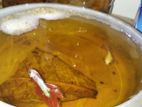 Fighter Fish ( Breeding Pair )