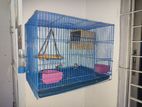 Finch (with cage)