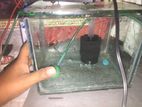 Aquarium for sale