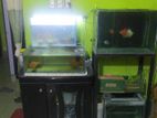 Fish and Aquarium for sell