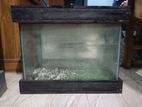 Fish Aquarium