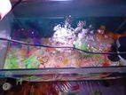 Fish Aquarium for sell