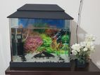 FISH AQUARIUM