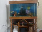 Fish aquarium