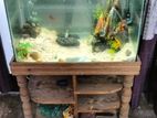 Fish Aquarium