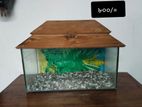 Fish aquarium