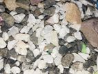 Fish Aquarium