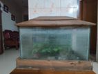 Fish Aquarium