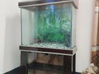 Fish Aquarium
