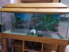 Aquarium for sale