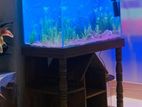 Aquarium for sell