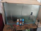 Fish aquarium for sell