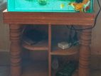 Fish Aquarium full setup